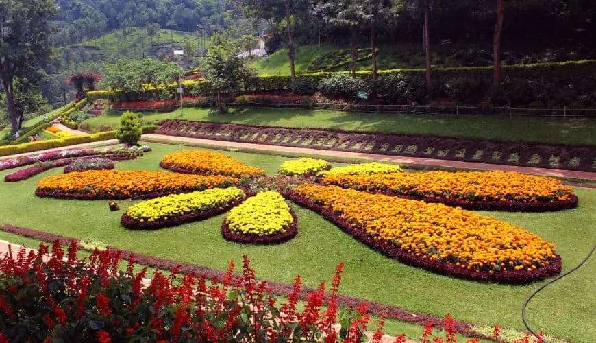 A riot of colours at the Ooty Flower Show