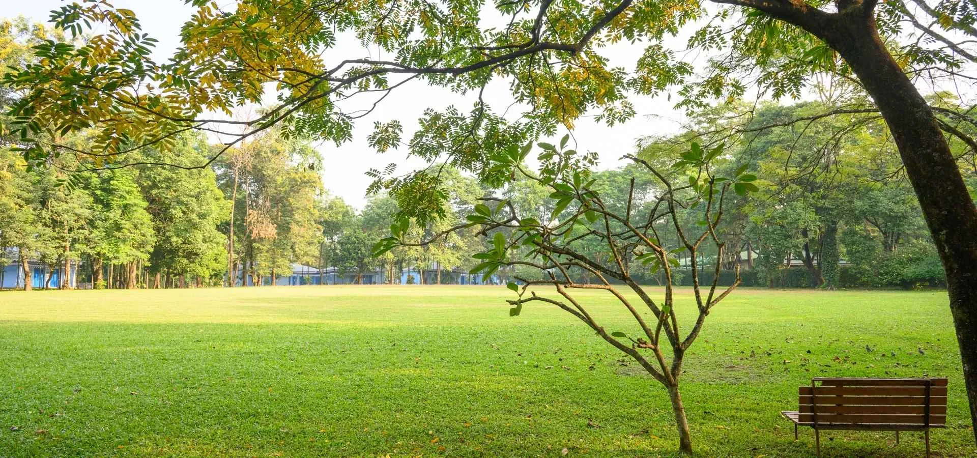Sinclairs Retreat Dooars Greenery